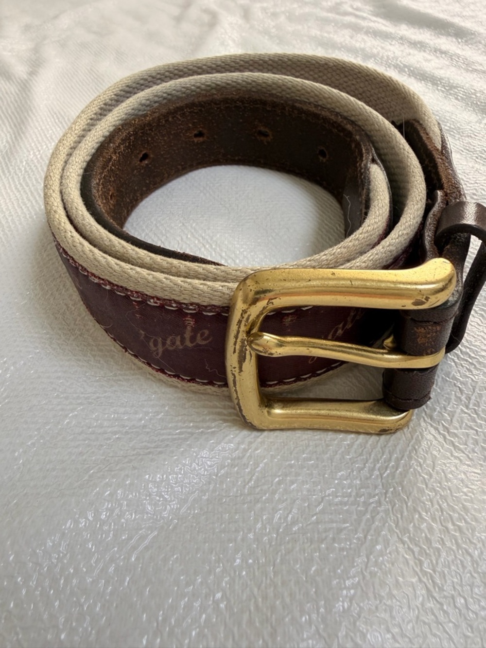 Colgate Men's Belt in Brown and Cream